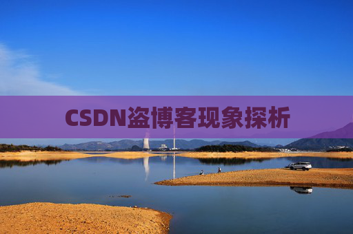 CSDN盗博客现象探析